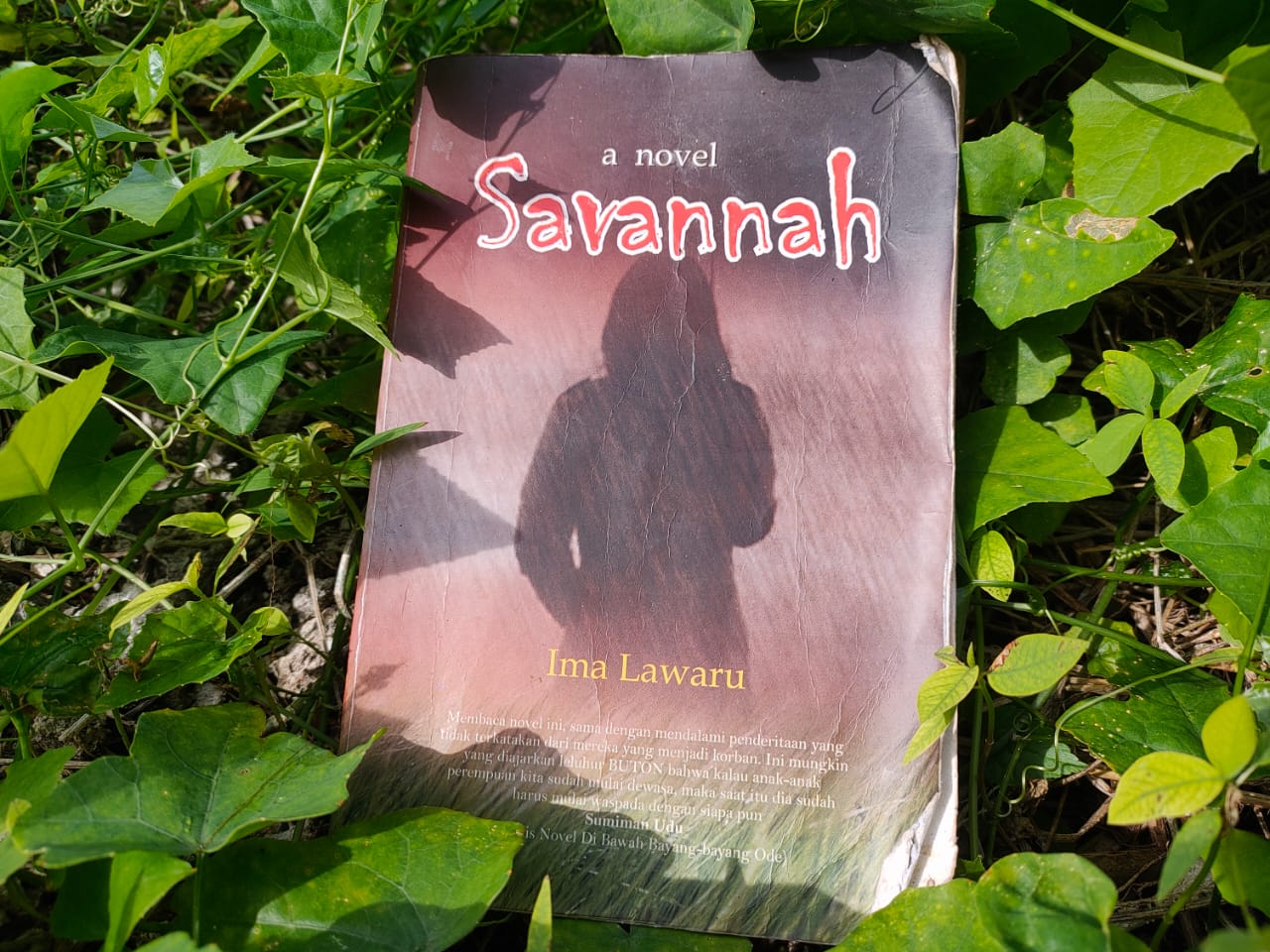 Novel ini bercerita tentang isu besar yang jarang dibicarakan masyarakat Wakatobi: Kekerasan seksual pada anak